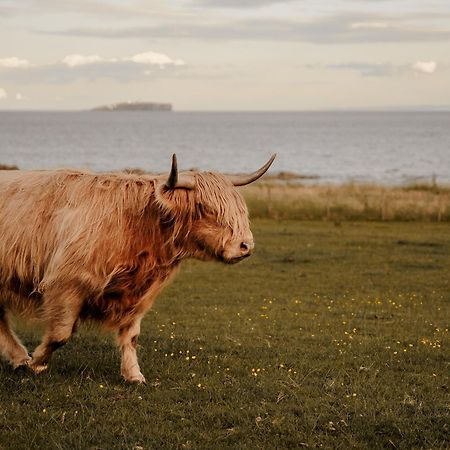 Clover Cottage Countryside Retreat With Sea Views Crail Extérieur photo