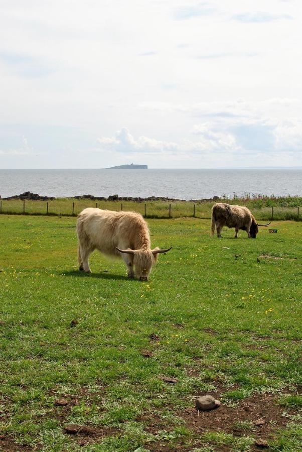 Clover Cottage Countryside Retreat With Sea Views Crail Extérieur photo
