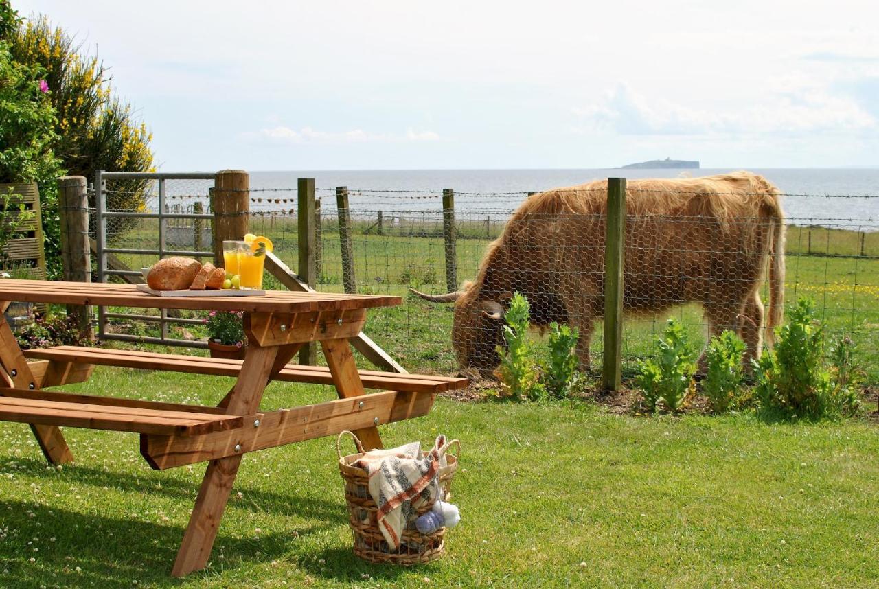 Clover Cottage Countryside Retreat With Sea Views Crail Extérieur photo